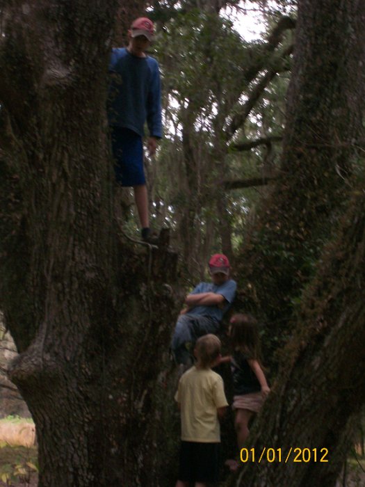 2012-Jan-02HGR4X4Croom 106